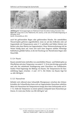 Image of the Page - 107 - in ExtremA 2019 - Aktueller Wissensstand zu Extremereignissen alpiner Naturgefahren in Österreich