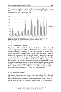 Image of the Page - 181 - in ExtremA 2019 - Aktueller Wissensstand zu Extremereignissen alpiner Naturgefahren in Österreich