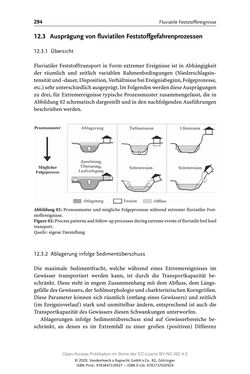 Image of the Page - 294 - in ExtremA 2019 - Aktueller Wissensstand zu Extremereignissen alpiner Naturgefahren in Österreich
