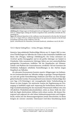 Bild der Seite - 300 - in ExtremA 2019 - Aktueller Wissensstand zu Extremereignissen alpiner Naturgefahren in Österreich