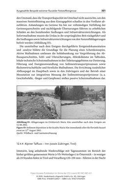 Image of the Page - 301 - in ExtremA 2019 - Aktueller Wissensstand zu Extremereignissen alpiner Naturgefahren in Österreich