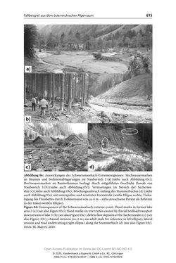 Image of the Page - 615 - in ExtremA 2019 - Aktueller Wissensstand zu Extremereignissen alpiner Naturgefahren in Österreich