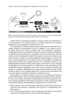 Bild der Seite - 61 - in Freshwater Microplastics - Emerging Environmental Contaminants?