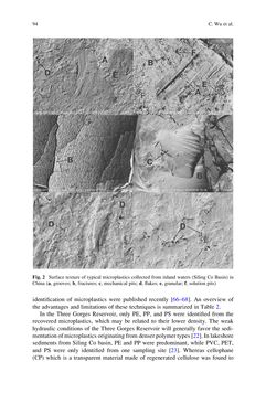 Bild der Seite - 94 - in Freshwater Microplastics - Emerging Environmental Contaminants?