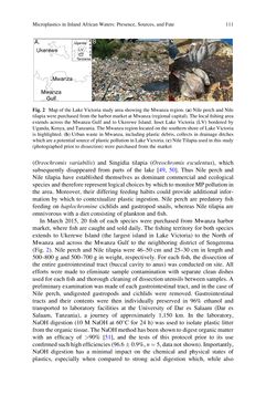 Bild der Seite - 111 - in Freshwater Microplastics - Emerging Environmental Contaminants?