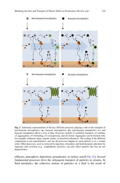 Image of the Page - 129 - in Freshwater Microplastics - Emerging Environmental Contaminants?
