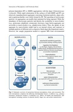 Image of the Page - 171 - in Freshwater Microplastics - Emerging Environmental Contaminants?