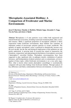 Image of the Page - 181 - in Freshwater Microplastics - Emerging Environmental Contaminants?