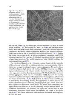Bild der Seite - 188 - in Freshwater Microplastics - Emerging Environmental Contaminants?