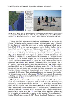 Bild der Seite - 213 - in Freshwater Microplastics - Emerging Environmental Contaminants?