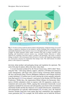 Bild der Seite - 283 - in Freshwater Microplastics - Emerging Environmental Contaminants?