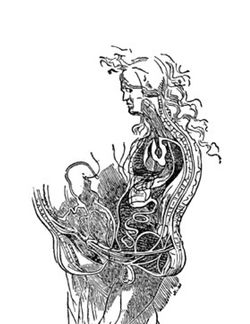 Bild der Seite - 2772 - in Schriften von Sigmund Freud - (1856–1939)