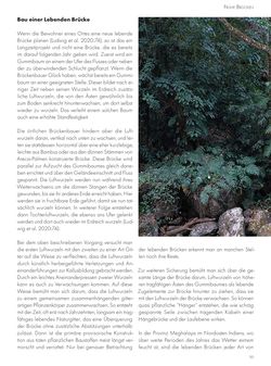Bild der Seite - 90 - in Frühe Brücken - Zug- oder druckbeanspruchte Konstruktionen, kreative, innovative und interessante Brücken