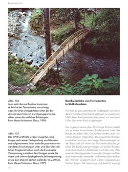 Bild der Seite - 167 - in Frühe Brücken - Zug- oder druckbeanspruchte Konstruktionen, kreative, innovative und interessante Brücken