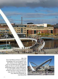 Bild der Seite - 273 - in Frühe Brücken - Zug- oder druckbeanspruchte Konstruktionen, kreative, innovative und interessante Brücken