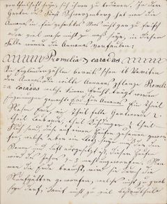 Bild der Seite - 33 - in Gärtnerbuch für den Carl Url