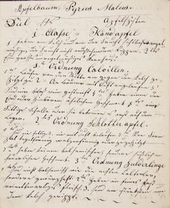 Bild der Seite - 52 - in Gärtnerbuch für den Carl Url