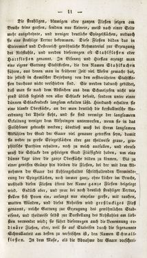 Image of the Page - 11 - in Gemeinfaßliche Darstellung der Stabeisen u. Stahlbereitung in Frischherden - in den Ländern des Vereins zur Beförderung und Unterstütztung der Industrie und Gewerbe in Innerösterreich, dem Lande ob der Enns und Salzburg