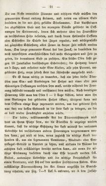 Image of the Page - 21 - in Gemeinfaßliche Darstellung der Stabeisen u. Stahlbereitung in Frischherden - in den Ländern des Vereins zur Beförderung und Unterstütztung der Industrie und Gewerbe in Innerösterreich, dem Lande ob der Enns und Salzburg