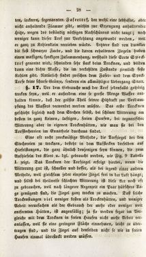 Image of the Page - 28 - in Gemeinfaßliche Darstellung der Stabeisen u. Stahlbereitung in Frischherden - in den Ländern des Vereins zur Beförderung und Unterstütztung der Industrie und Gewerbe in Innerösterreich, dem Lande ob der Enns und Salzburg