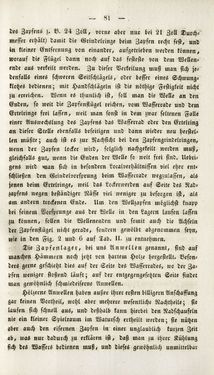 Bild der Seite - 81 - in Gemeinfaßliche Darstellung der Stabeisen u. Stahlbereitung in Frischherden - in den Ländern des Vereins zur Beförderung und Unterstütztung der Industrie und Gewerbe in Innerösterreich, dem Lande ob der Enns und Salzburg
