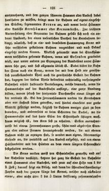 Bild der Seite - 121 - in Gemeinfaßliche Darstellung der Stabeisen u. Stahlbereitung in Frischherden - in den Ländern des Vereins zur Beförderung und Unterstütztung der Industrie und Gewerbe in Innerösterreich, dem Lande ob der Enns und Salzburg