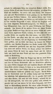 Image of the Page - 158 - in Gemeinfaßliche Darstellung der Stabeisen u. Stahlbereitung in Frischherden - in den Ländern des Vereins zur Beförderung und Unterstütztung der Industrie und Gewerbe in Innerösterreich, dem Lande ob der Enns und Salzburg