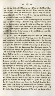 Image of the Page - 163 - in Gemeinfaßliche Darstellung der Stabeisen u. Stahlbereitung in Frischherden - in den Ländern des Vereins zur Beförderung und Unterstütztung der Industrie und Gewerbe in Innerösterreich, dem Lande ob der Enns und Salzburg