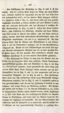 Image of the Page - 167 - in Gemeinfaßliche Darstellung der Stabeisen u. Stahlbereitung in Frischherden - in den Ländern des Vereins zur Beförderung und Unterstütztung der Industrie und Gewerbe in Innerösterreich, dem Lande ob der Enns und Salzburg
