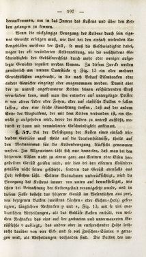 Image of the Page - 197 - in Gemeinfaßliche Darstellung der Stabeisen u. Stahlbereitung in Frischherden - in den Ländern des Vereins zur Beförderung und Unterstütztung der Industrie und Gewerbe in Innerösterreich, dem Lande ob der Enns und Salzburg