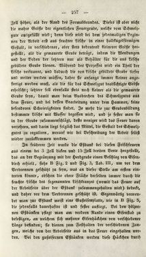 Image of the Page - 257 - in Gemeinfaßliche Darstellung der Stabeisen u. Stahlbereitung in Frischherden - in den Ländern des Vereins zur Beförderung und Unterstütztung der Industrie und Gewerbe in Innerösterreich, dem Lande ob der Enns und Salzburg