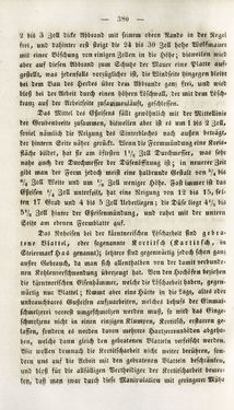 Image of the Page - 380 - in Gemeinfaßliche Darstellung der Stabeisen u. Stahlbereitung in Frischherden - in den Ländern des Vereins zur Beförderung und Unterstütztung der Industrie und Gewerbe in Innerösterreich, dem Lande ob der Enns und Salzburg
