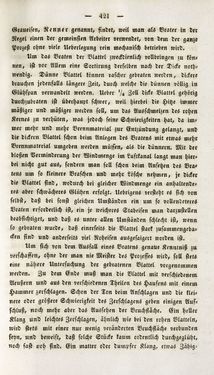 Image of the Page - 421 - in Gemeinfaßliche Darstellung der Stabeisen u. Stahlbereitung in Frischherden - in den Ländern des Vereins zur Beförderung und Unterstütztung der Industrie und Gewerbe in Innerösterreich, dem Lande ob der Enns und Salzburg