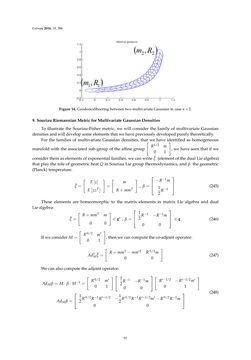 Bild der Seite - 97 - in Differential Geometrical Theory of Statistics