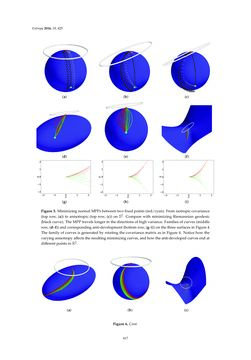 Image of the Page - 417 - in Differential Geometrical Theory of Statistics