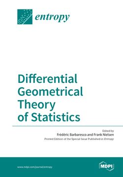 Image of the Page - Einband vorne - in Differential Geometrical Theory of Statistics