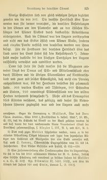 Bild der Seite - 125 - in Geschichte Österreichs, Band 1