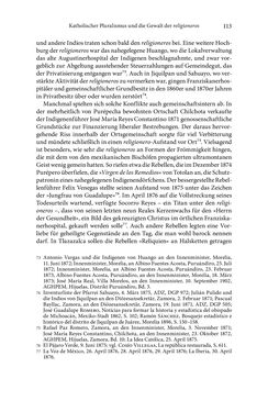 Image of the Page - 113 - in Glaubenskämpfe - Katholiken und Gewalt im 19. Jahrhundert