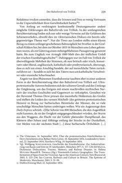 Bild der Seite - 229 - in Glaubenskämpfe - Katholiken und Gewalt im 19. Jahrhundert