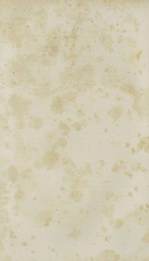 Image of the Page - (000330) - in Grätz - Ein naturhistorisch-statistisch-topographisches Gemählde dieser Stadt und ihrer Umgebung