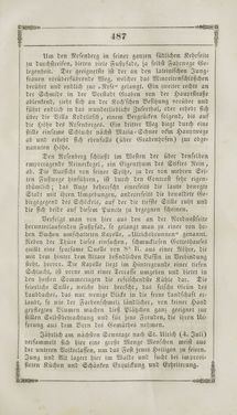 Bild der Seite - 487 - in Grätz - Ein naturhistorisch-statistisch-topographisches Gemählde dieser Stadt und ihrer Umgebung