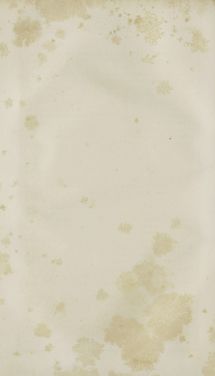 Bild der Seite - (000544) - in Grätz - Ein naturhistorisch-statistisch-topographisches Gemählde dieser Stadt und ihrer Umgebung