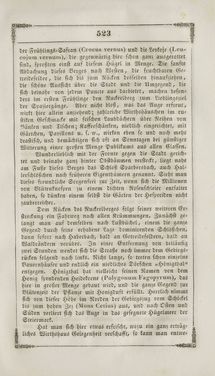 Image of the Page - 523 - in Grätz - Ein naturhistorisch-statistisch-topographisches Gemählde dieser Stadt und ihrer Umgebung