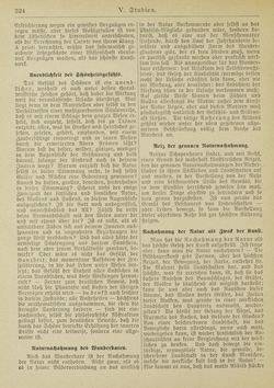 Image of the Page - 324 - in Grillparzers sämtliche Werke - Neue illustrierte Ausgabe in zwei Bändern, Volume II