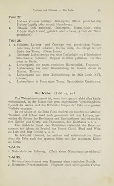 Bild der Seite - 55 - in Handbuch der Ornamentik - Zum Gebrauch für Musterzeichner, Architekten, Schulen und Gewerbetreibende sowie zum Studium im Allgemeinen