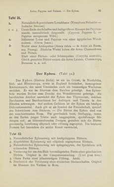 Bild der Seite - 61 - in Handbuch der Ornamentik - Zum Gebrauch für Musterzeichner, Architekten, Schulen und Gewerbetreibende sowie zum Studium im Allgemeinen