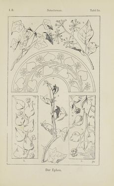 Bild der Seite - 63 - in Handbuch der Ornamentik - Zum Gebrauch für Musterzeichner, Architekten, Schulen und Gewerbetreibende sowie zum Studium im Allgemeinen