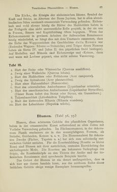 Bild der Seite - 67 - in Handbuch der Ornamentik - Zum Gebrauch für Musterzeichner, Architekten, Schulen und Gewerbetreibende sowie zum Studium im Allgemeinen