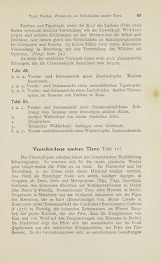 Image of the Page - 89 - in Handbuch der Ornamentik - Zum Gebrauch für Musterzeichner, Architekten, Schulen und Gewerbetreibende sowie zum Studium im Allgemeinen