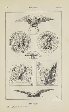 Bild der Seite - 97 - in Handbuch der Ornamentik - Zum Gebrauch für Musterzeichner, Architekten, Schulen und Gewerbetreibende sowie zum Studium im Allgemeinen